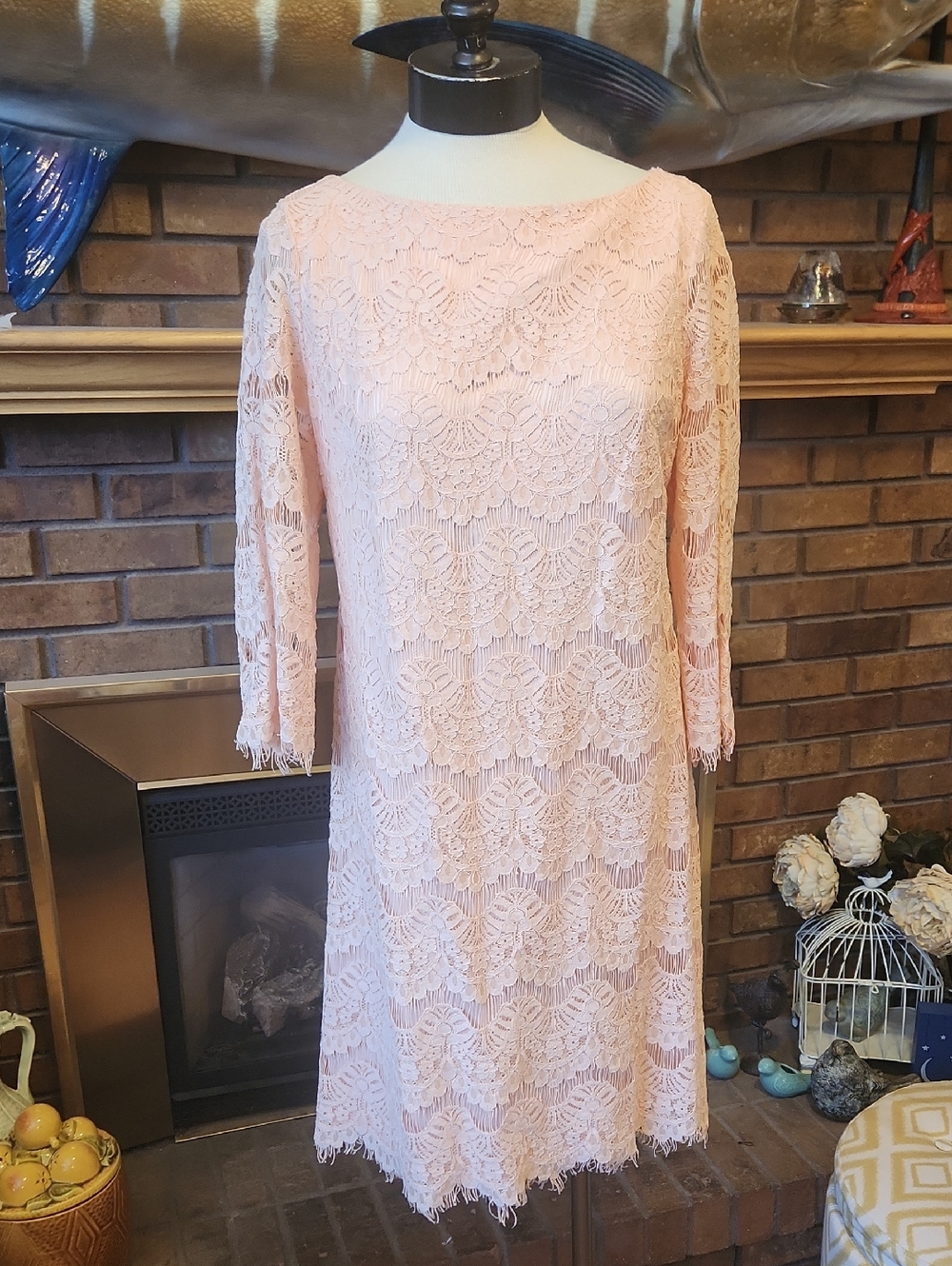 Jessica Howard Pastel Pink Lace Shift Dress Size 12 Fringe Open Lace Sleeves